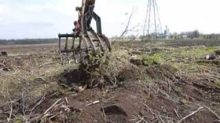 CX210 clearing trees with root rake in cab [upl. by Haney763]