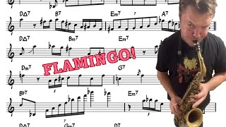 Baptiste Herbin on Flamingo  Eb Transcription [upl. by Portie489]