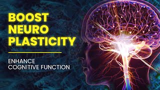 Boost Neuroplasticity  Rewire Your Brain For Success  Enhance Cognitive Function  Binaural Beats [upl. by Leiso]