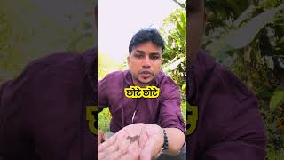 Urinary infection  Prostatitis पेशाब में इन्फेक्शन जलन प्रोस्टेट  mishraveda [upl. by Darleen]