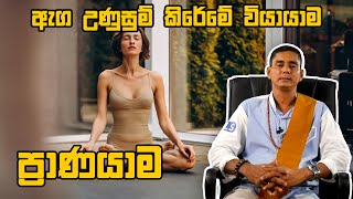 ප්‍රාණයාම ඇග උණුසුම් කිරේමේ වියායාම Pranayama பிராணாயாமம் Ruwan weeraratna 074 0277773 [upl. by Ococ]