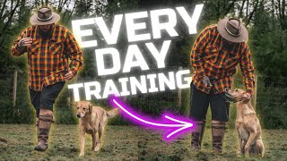 3 Dog Training Tips You Should Do Every Day With Your Dog [upl. by Aneehsat152]