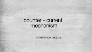 Counter current mechanism in hindi  physiology lecture [upl. by Bowie]