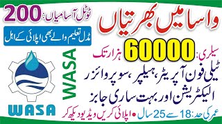 WASA Jobs 2022 Apply Online  WASA Careers  Water and Sanitation Agency Jobs 2022  WASA Vacancies [upl. by Otrebireh]