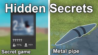 Plane Crazy Secrets You Didnt Know check pin [upl. by Hctud]