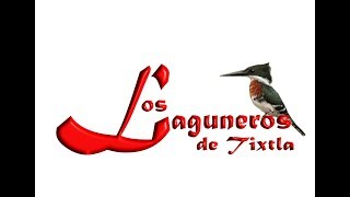 LOS LAGUNEROS DE TIXTLA quotEL RECOCOquot [upl. by Isak509]