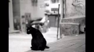 booktrailerla gabbianella e il gatto [upl. by Siana422]