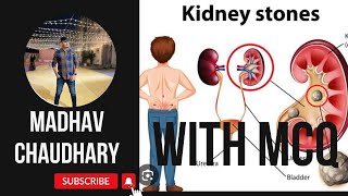 URINARY SYSTEM LECTURE3 NEPHROLITHIASISKIDNEY STONE WITH ALL MCQmadhavchaudhary kidney youtube [upl. by Anos]