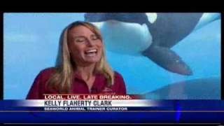 SeaWorld Makes Changes After Killer Whale Attack [upl. by Odlopoel]