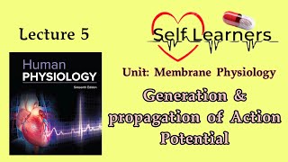 Lecture 5Generation amp Propagation of Action potentialMembrane Physiology [upl. by Navoj]