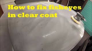 How to fix fisheyes in clear coat [upl. by Flann906]