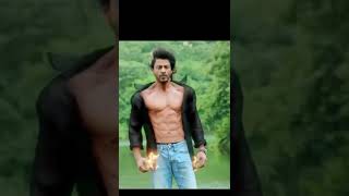 Manwa Laage song  Shahrukh Khan  Deepika Padukone youtubeshorts [upl. by Anerbas384]