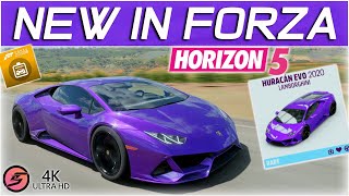 How to Get 2020 Huracan EVO in Forza Horizon 5 Mexico [upl. by Litnahs]