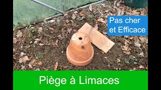 Fabriquer un piège à limaces [upl. by Meuser]