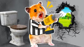 Hamster Escaping MAXIMUM SECURITY PRISON  Funny Hamster Cartoon by Hamster Toons [upl. by Ahsinyd]