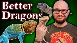 You DO NOT Want A Bearded Dragon 5 BETTER Bearded Dragon Alternatives [upl. by Cosetta]