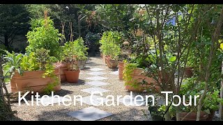 Potager Kitchen Garden Tour June 2022One Month Growth fruits Vegetables and Ornamentals [upl. by Ynnep]