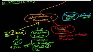 Hepatic Physiology 1 Functions of the Liver [upl. by Edora69]