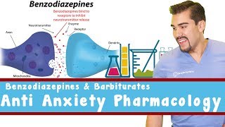 Anti Anxiety Pharmacology Benzodiazepines and Barbiturates [upl. by Roht682]