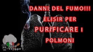 Elisir medicinale fai da te per pulire i polmoni dei FUMATORI  FoodVlogger [upl. by Anirtak]