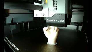 One finger Salute 3d Print Timelapse [upl. by Nauqe]