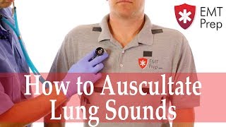 How to Auscultate Lung Sounds  EMTprepcom [upl. by Marnia817]