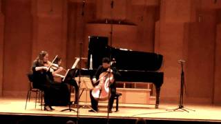 Beethoven Archduke trio 1 mov [upl. by Aihsoek327]