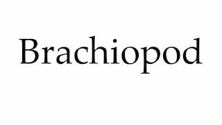 How to Pronounce Brachiopod [upl. by Ecyob]