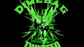 Dimebag Darrell  Twisted [upl. by Annerol904]