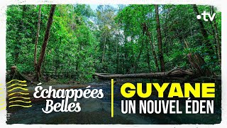 Guyane un nouvel éden  Échappées belles [upl. by Octavla87]