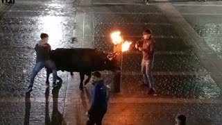 Festejos Taurinos en Almacera 2024 2 Toros embolados de Miguel Parejo [upl. by Noach387]