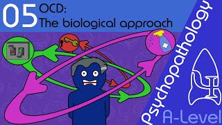 OCD explaining and treating Biological approach  Psychopathology ALevel Psychology [upl. by Notrub438]