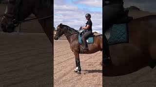 Master horse training Move shoulders effortlesslyquot [upl. by Melvina]