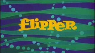 Die Flippers  Lotosblume ZDF Hitparade 04101989 VOD [upl. by Ahsinauq]