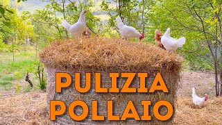 Come pulire un POLLAIO [upl. by Nafis]