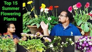 15 Eazy Heavy Flowering Plants You Must Grow  सालभर फूलों से लदे रहते हैं मेरे गार्डन के ये पौधे [upl. by Jac]