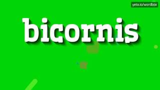 BICORNIS  HOW TO PRONOUNCE IT [upl. by Coveney]