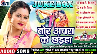 Mor Chhaiya Bhuiya 2  Cg Film Song  Tor Achara Ke Chhaiya  AudioJukebox  Man Diksha Elsa Deepak [upl. by Christoforo]