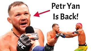 Petr Yan Just Solidified Himself As One Of The Bantamweight GOATS Yan vs Figueiredo UFC Recap [upl. by Ianteen]