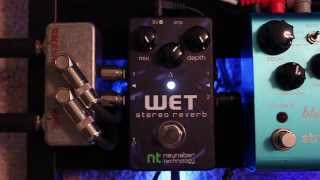 Neunaber Stereo Wet  Reverb Shimmer and Hold Firmware [upl. by Sucramej35]