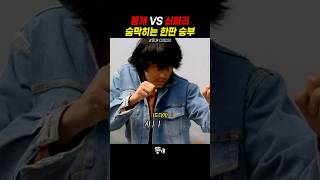 똥개 VS 쇠파리 자웅을 겨루는 맞짱 결투 [upl. by Octavian]