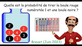 Calculs de probabilités pour des expériences aléatoires à une puis à deux épreuves tableau et arbre [upl. by Rabin156]