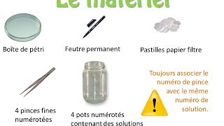 Protocole réaliser un antibiogramme avec des produits de substitution [upl. by Letsou520]