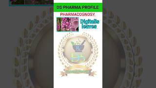 Pharmacognosy drug chart  Digitalis leaves pharmacognosy shorts pharmacy pharmamcq odisha [upl. by Osman]