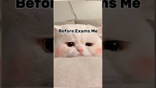 Exams Struggle vs Results Fun 😂 examfunny [upl. by Nemrak]