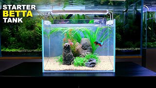 Aquascape Tutorial ULTIMATE BETTA Nano Tank For Beginners How To No co2 Planted Tank Step by Step [upl. by Fogarty]