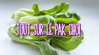 Tout sur le Pak Choi  Ce légume asiatique facile à cuisiner [upl. by Aikcir]