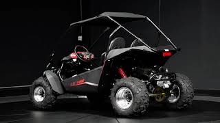 Hammerhead OffRoad LE150 [upl. by Aivila875]