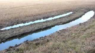 The importance of field drainage [upl. by Eittap]