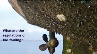 What are the regulations on biofouling  Quiz answer  marinaura [upl. by Eirret]